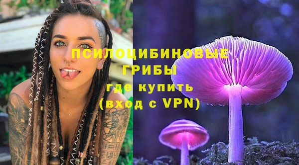 твердый Надым
