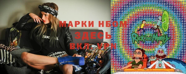 твердый Надым