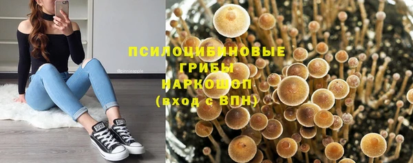 дживик Наволоки