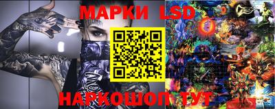 гашик Донской