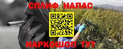 гашик Донской