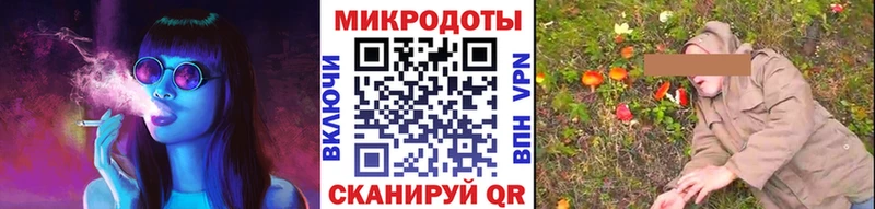 гидра ссылка  Псков  Псилоцибиновые грибы Psilocybe 
