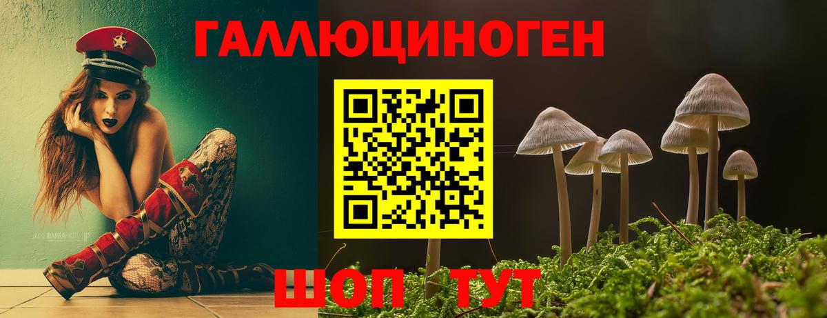 Галлюциногенные грибы Psilocybe Псков